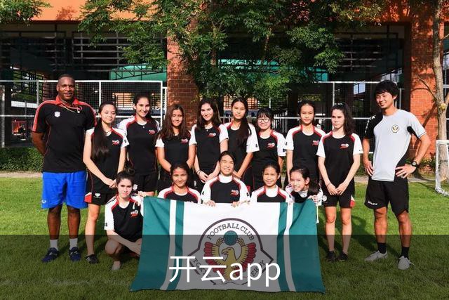 开云app公司简介